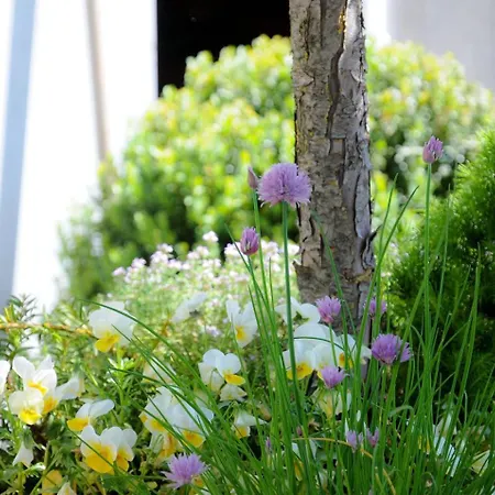 Hotel Am Zehntstadl & Sauna Ulma