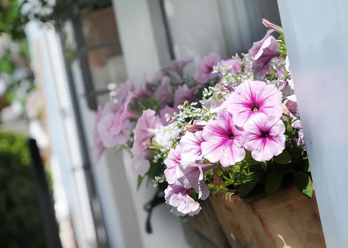 Hotel Am Zehntstadl Hotel & Sauna 3*