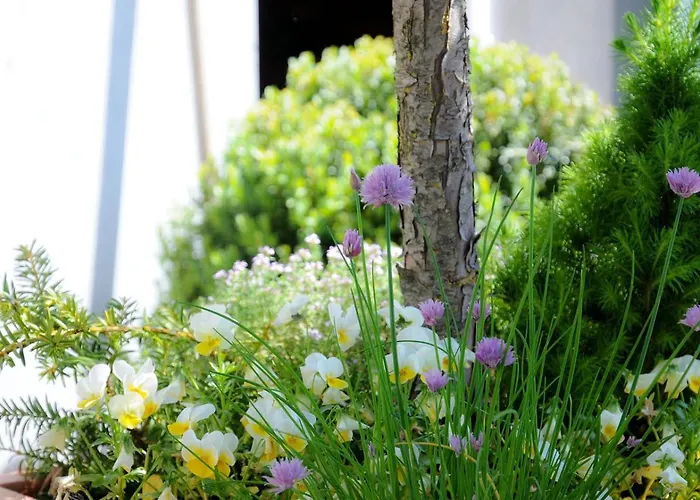 Hotel Am Zehntstadl Hotel & Sauna Ulm